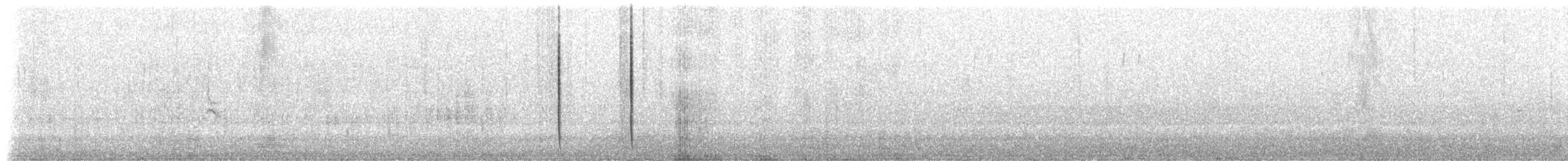 Синебородая горная нимфа - ML410590641