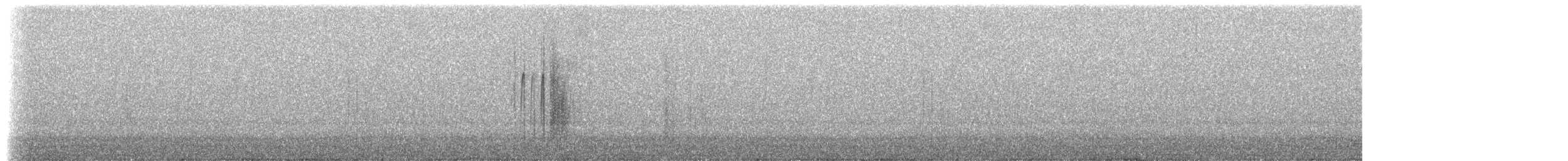 Синебородая горная нимфа - ML410590661