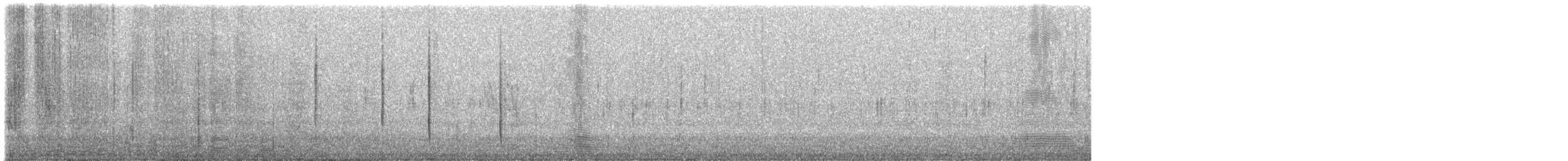 Синебородая горная нимфа - ML410591781
