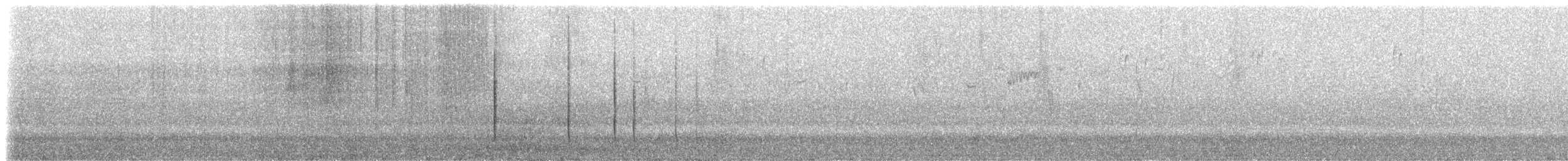 Blue-bearded Helmetcrest - ML410591851