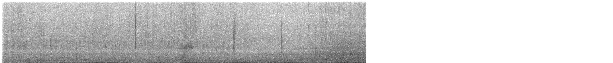 Синебородая горная нимфа - ML410592011