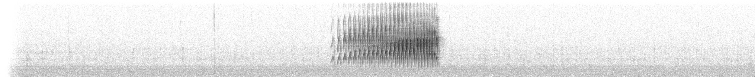 striperyggkurvfugl (wyatti gr.) - ML410597281