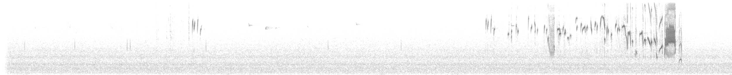Santa Marta Çıtkuşu - ML410606001