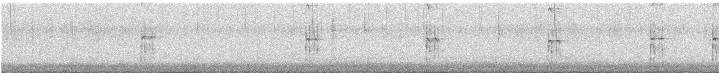 Haarspecht [villosus-Gruppe] - ML410634651