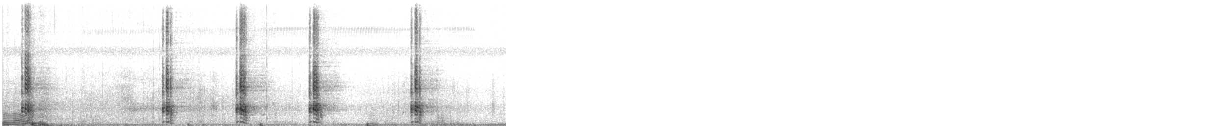 ツルモドキ - ML410691531