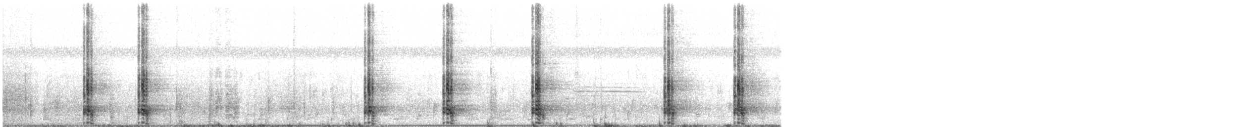 ツルモドキ - ML410691561