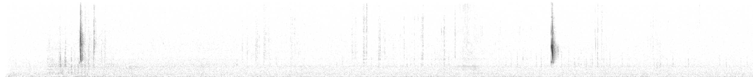 striperyggkurvfugl (wyatti gr.) - ML410818081