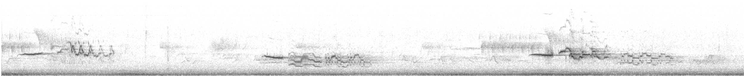 Hermit Thrush (auduboni Group) - ML410818891