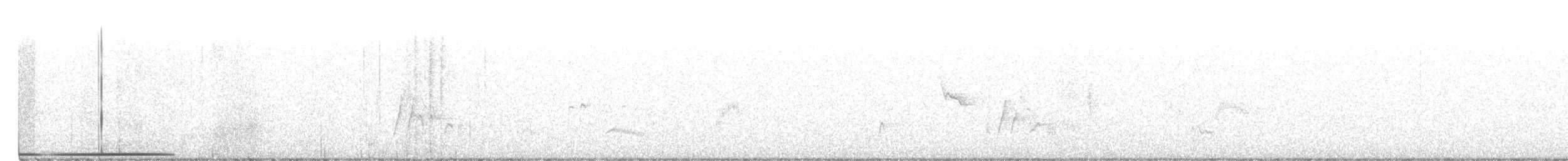 holub bledočelý - ML410900891