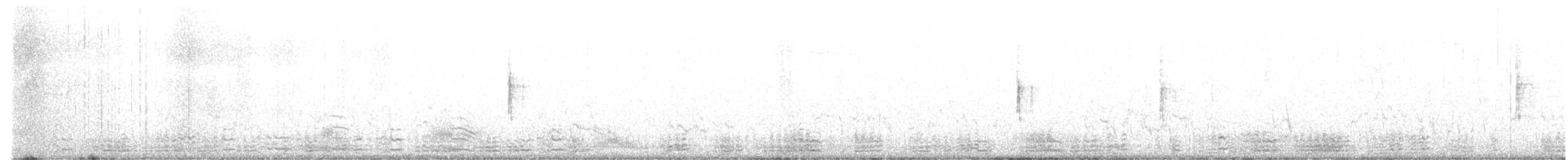 berneška tmavá (ssp. hrota) - ML410983351