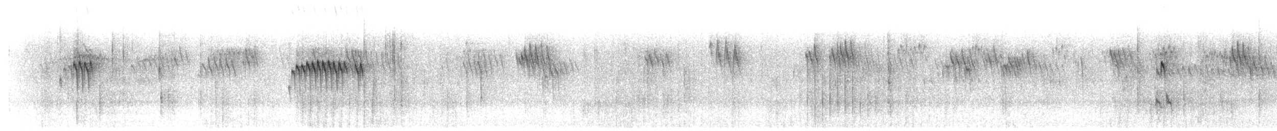 sidensvans - ML411003201