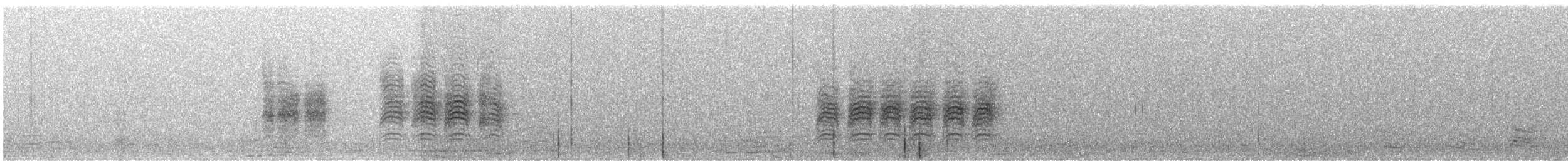 Гаїчка sp. - ML411010291