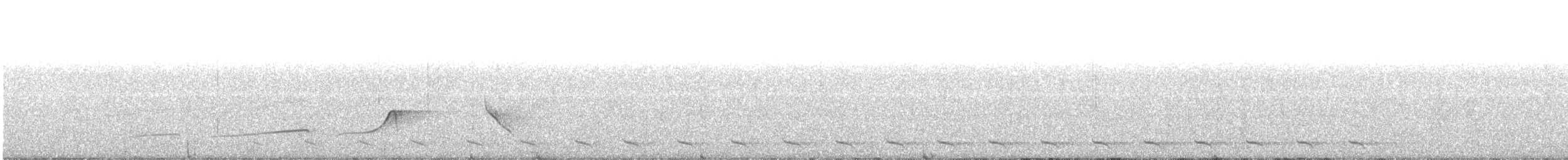Планідера світлочерева - ML411068751
