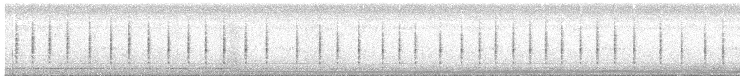 stripesanger - ML411109141