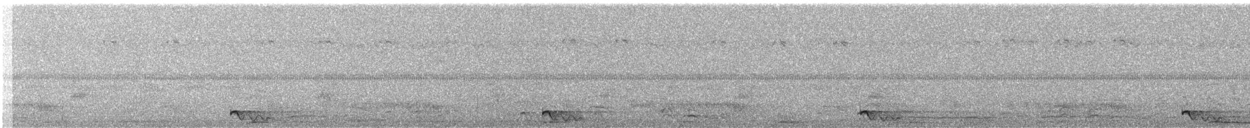 Chotacabras Marajá - ML411145871