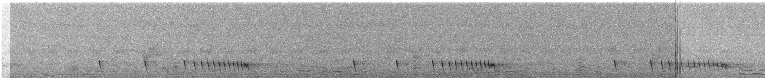Indiennachtschwalbe - ML411145901