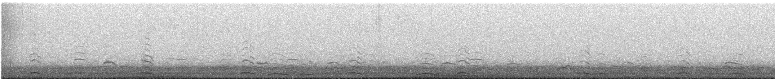 Cygne siffleur - ML411206251