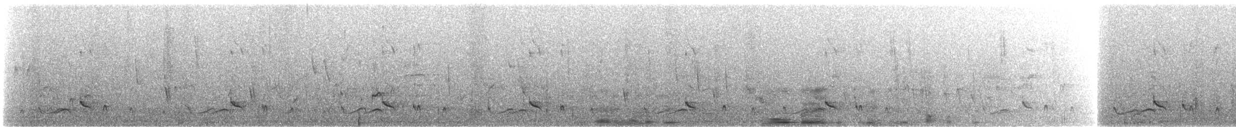 Барбудо плямистоголовий - ML411338391