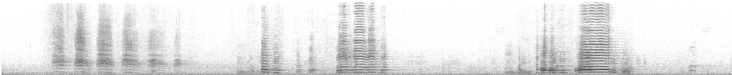 Cisne Trompetero - ML411389921