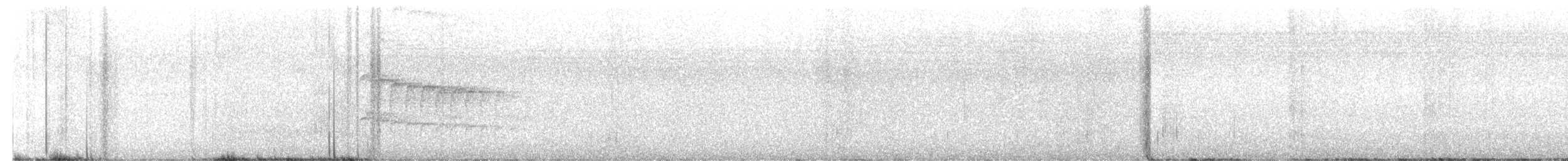 Weißbinden-Ameisenvogel - ML411499901