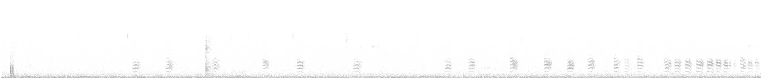 Weißbrustkleiber - ML411511671