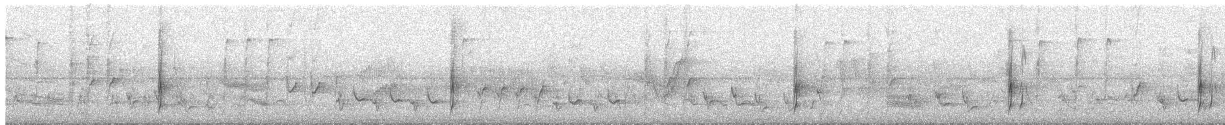 Süd-Fleckenmaskentyrann - ML411511851