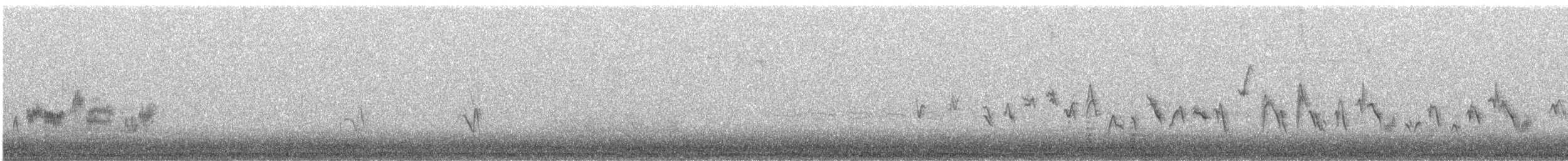 passerine sp. - ML411517401