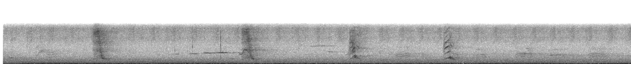Pheasant Coucal - ML411518821