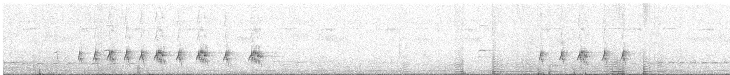 vlha bělohrdlá - ML411547621