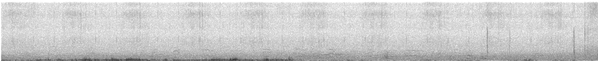 Harelde kakawi - ML411592011