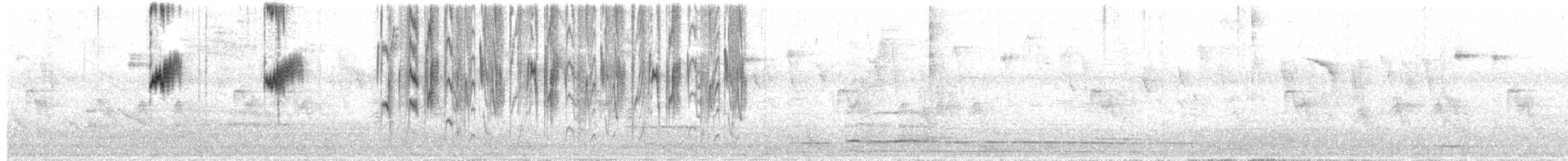 Sombre Hummingbird - ML411620391