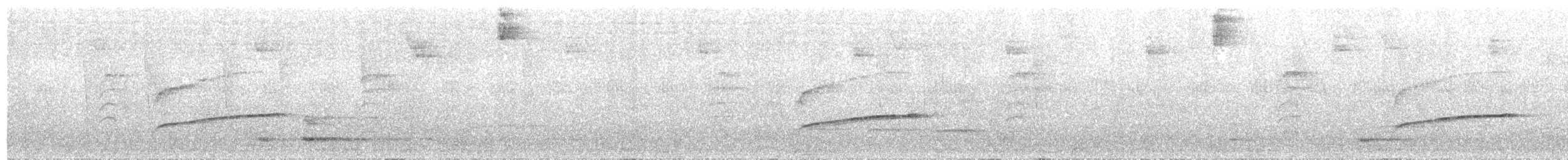 Тиран-крихітка сіроголовий - ML411645901