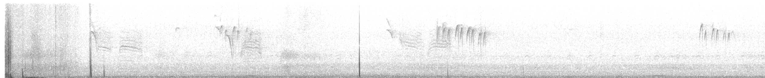 White-winged Crossbill - ML411737241