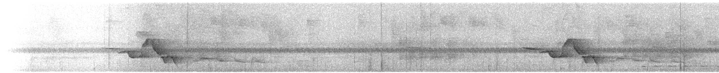 Troglodyte de Sclater - ML41175531