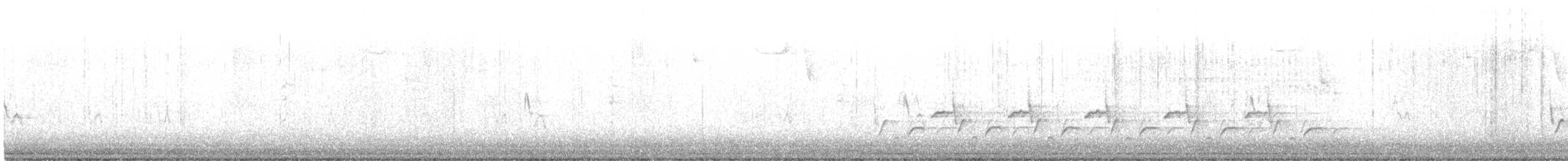 Поплітник каролінський - ML411894491