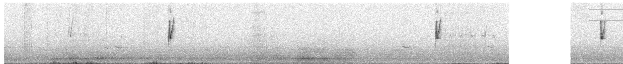 Кордобская трясохвостка - ML411971091