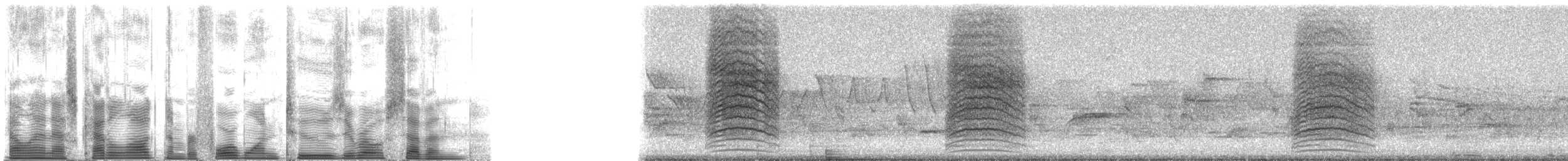 Gray Catbird - ML41207