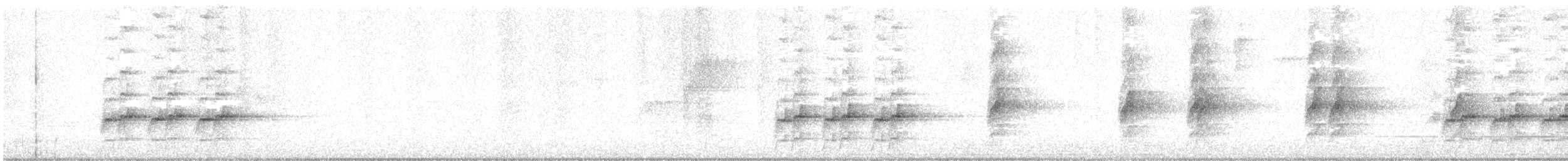 Orthonyx de Temminck - ML412149801