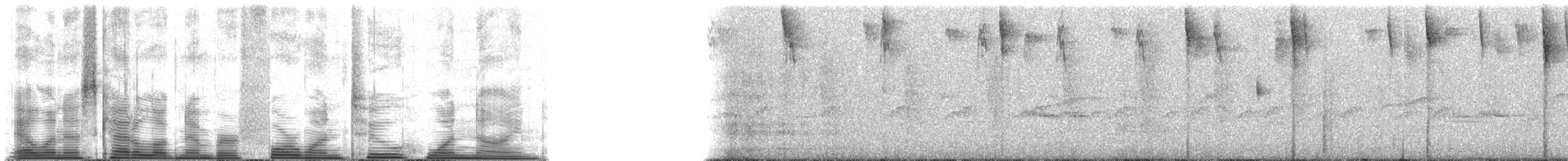 Chlorospin des buissons (groupe flavopectus) - ML41219