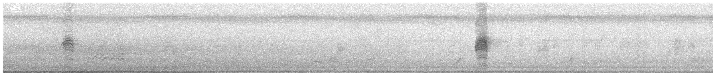 Australasian Grebe - ML412191601