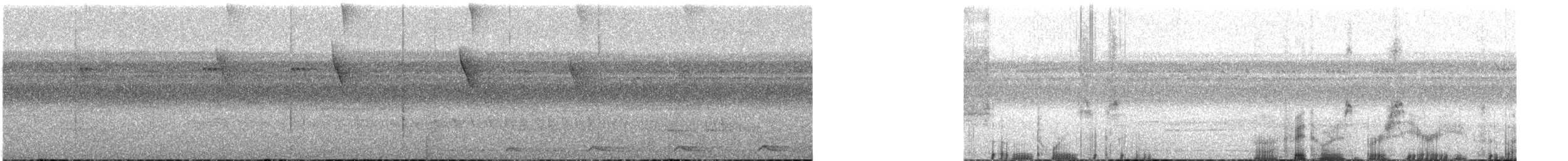 Прямоклювый колибри-отшельник - ML41220251
