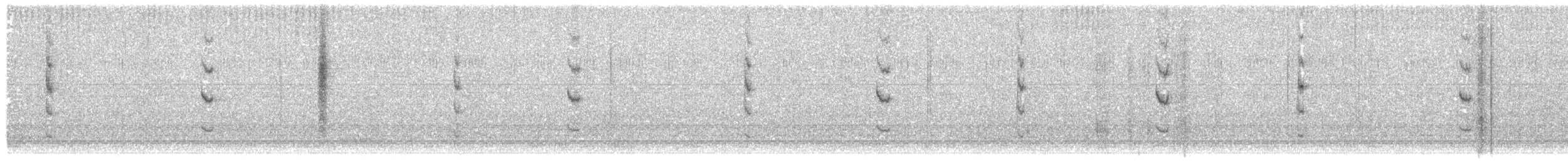 Сияющий колибри-капуцин - ML412239351