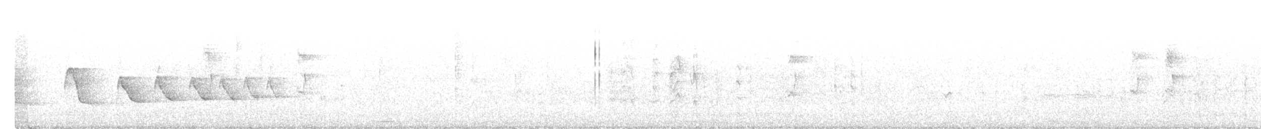 Meksika Yeşil Sırtlı Serçesi - ML412250031