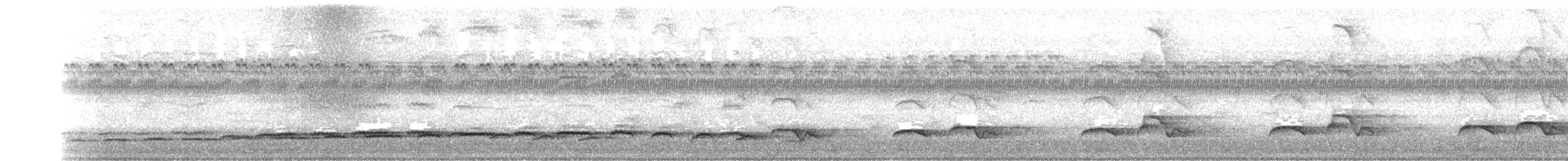 Зозуля білогорла - ML412338081