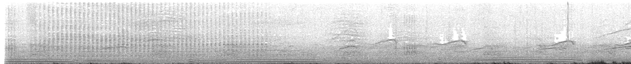 Wedge-tailed Shearwater - ML412388241
