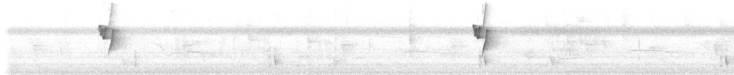 Ерміт світлочеревий - ML412425591