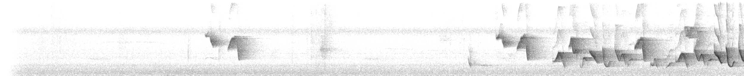Белоухий крапивник - ML412425961