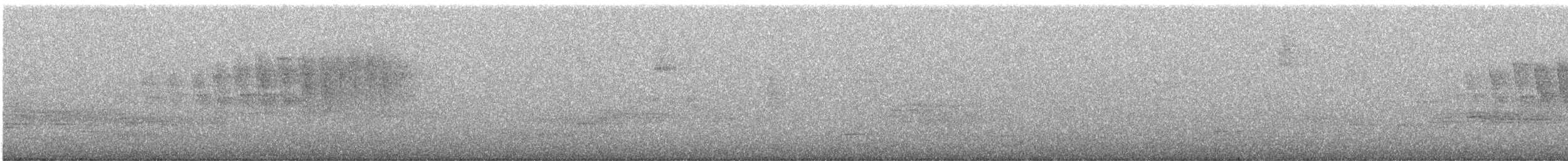 Wilson's Warbler - ML412442891