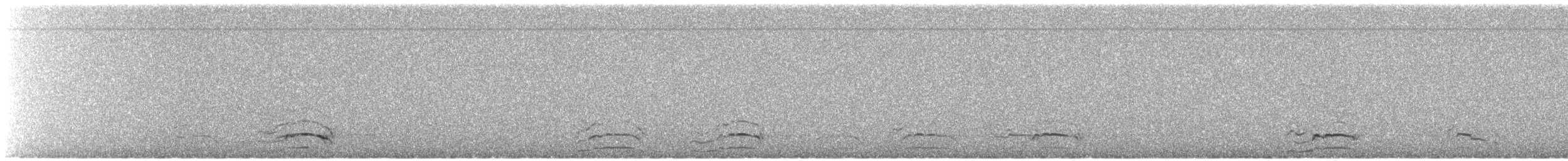 ørkenmåke - ML412482701