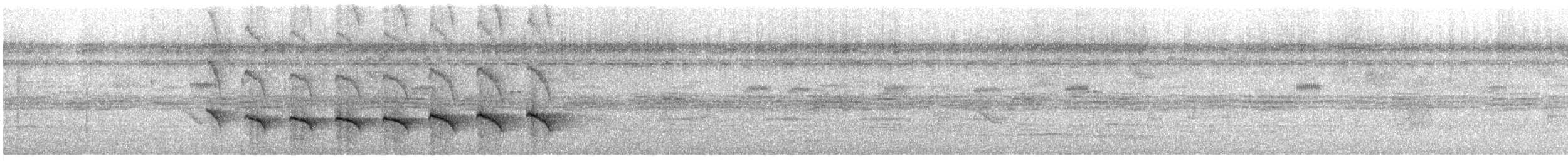 Kurzschwanz-Ameisenvogel - ML412513481